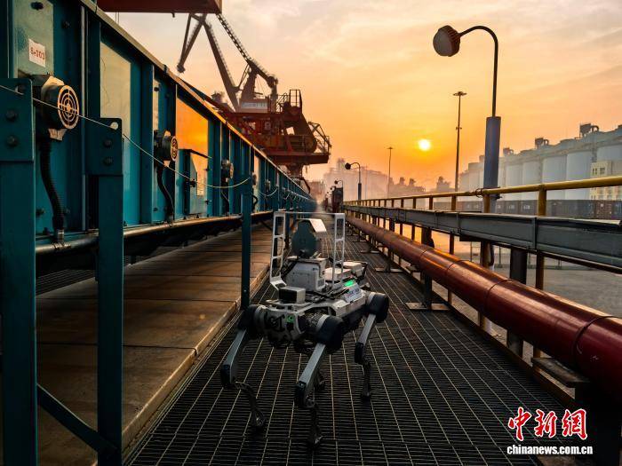 （新春走基層）“機器人家族”值守青島港 護航“中國年”物流動脈