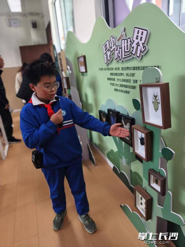 家長變“小學生”！萬境小學體驗式家長會讓教育迴歸童心