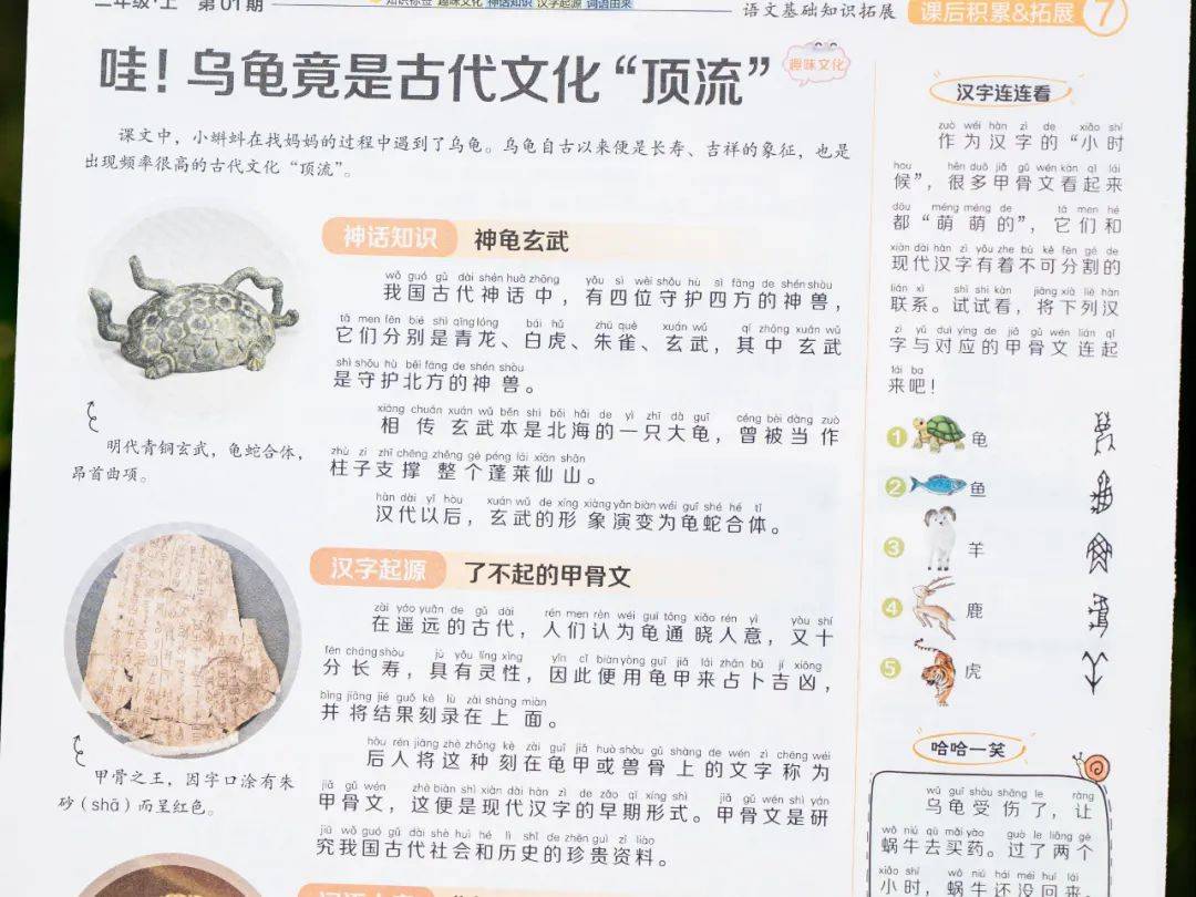 新的隱形攀比，正在小學悄悄流行！老師從來不說，但家長要知道