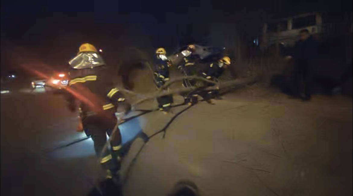 大風天昌平消防快速處置倒伏樹木，提示市民注意出行安全