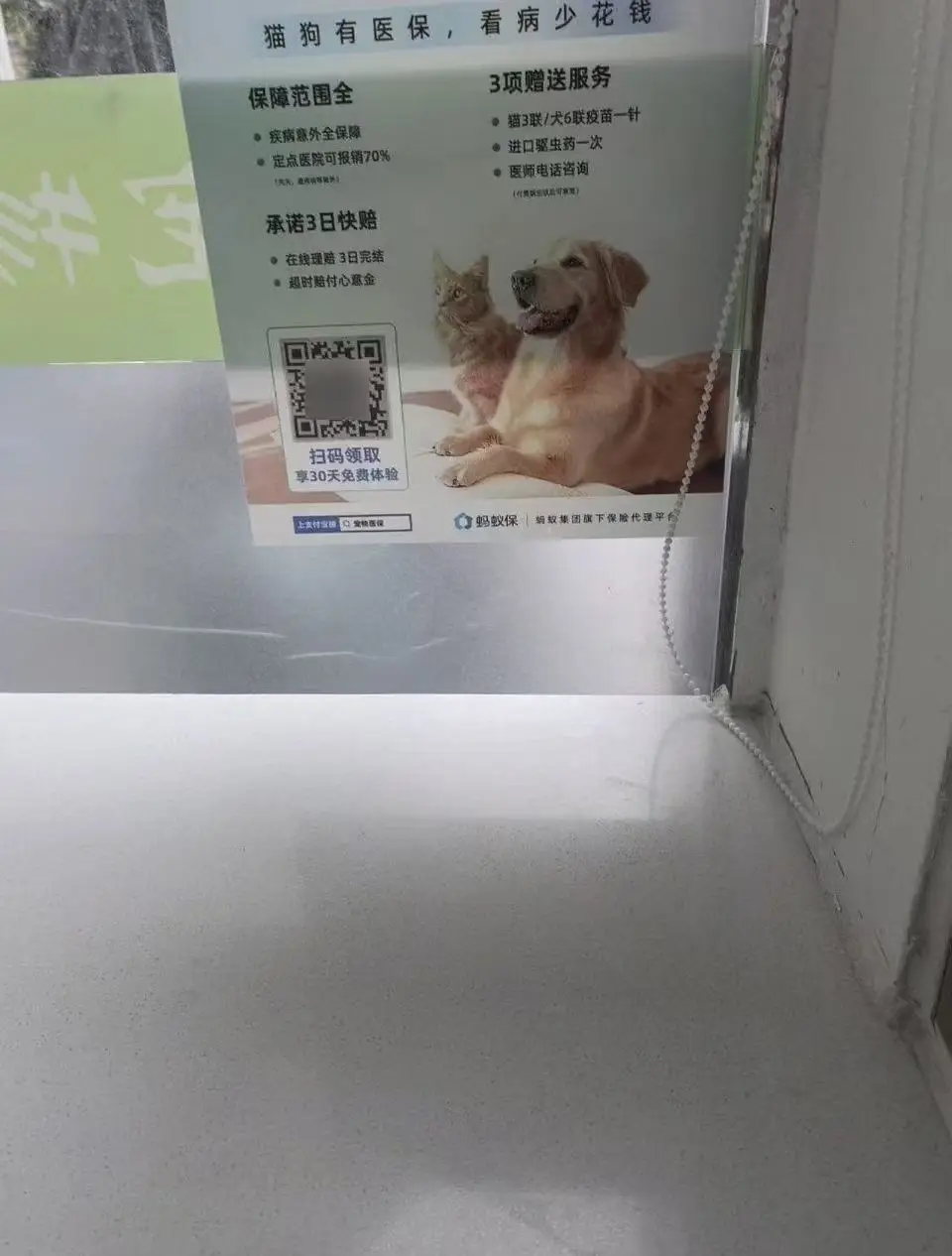 溫江寵物洗澡美容哪家好