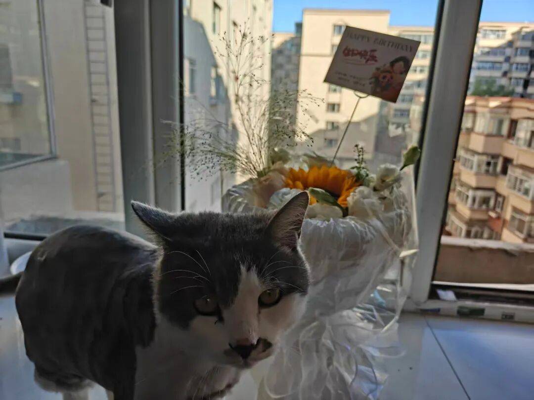 鶴崗「房產一哥」，轉行擦邊背後