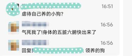 當街虐貓勒索800元：法律沉默時，善良必須支付贖金嗎？