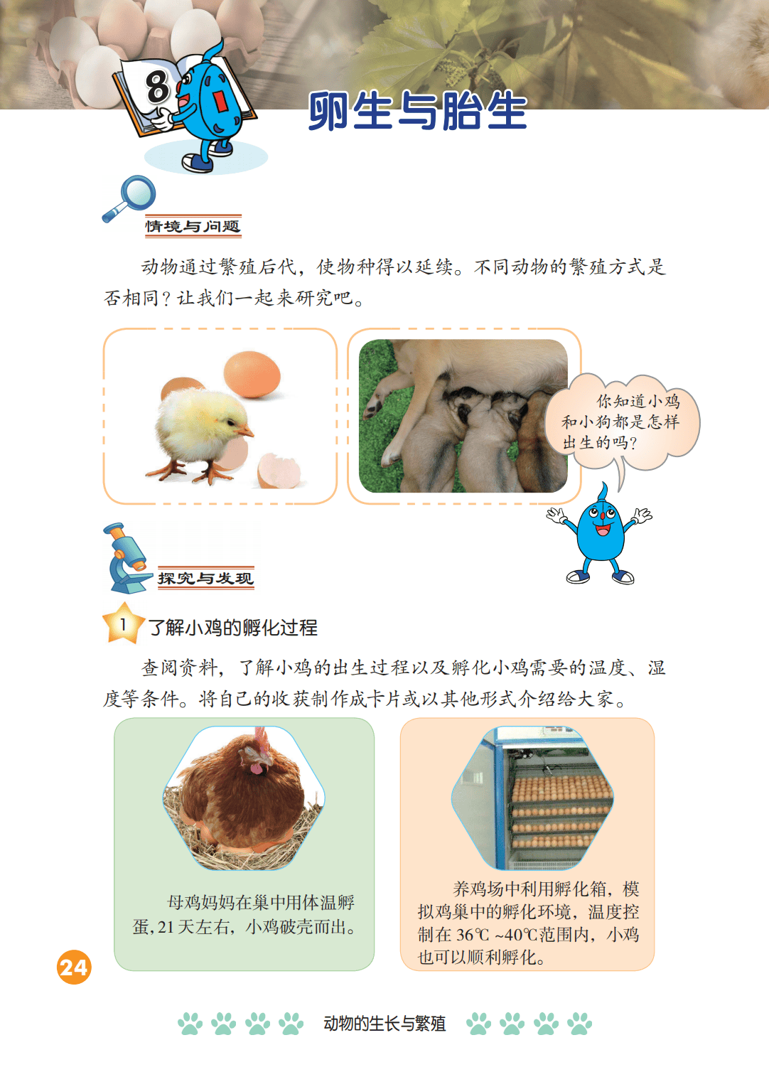 2026冀人版四年級科學下冊電子課本(PDF高畫質版新教材)